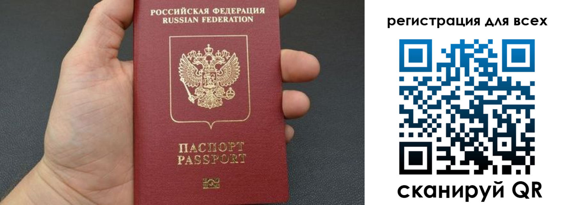 прописка гарантия в Донском
